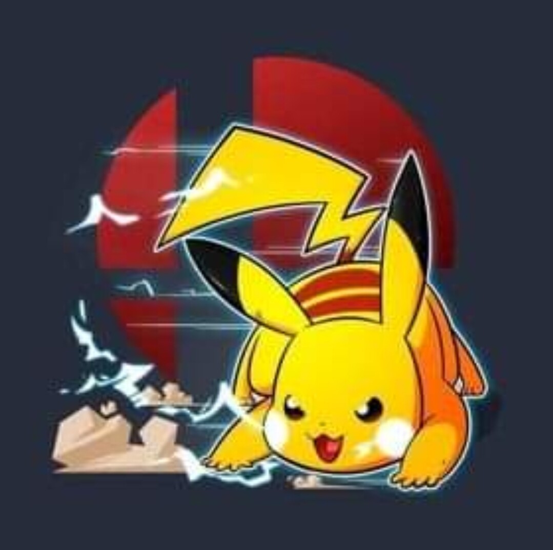 Sommersweat Pikatchu Panele Lieferung Oktober 