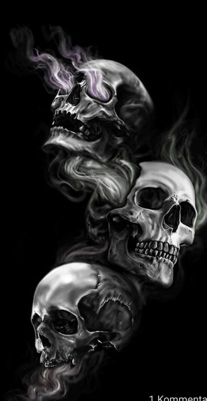 Sommersweat Skulls Panele Lieferung Oktober 