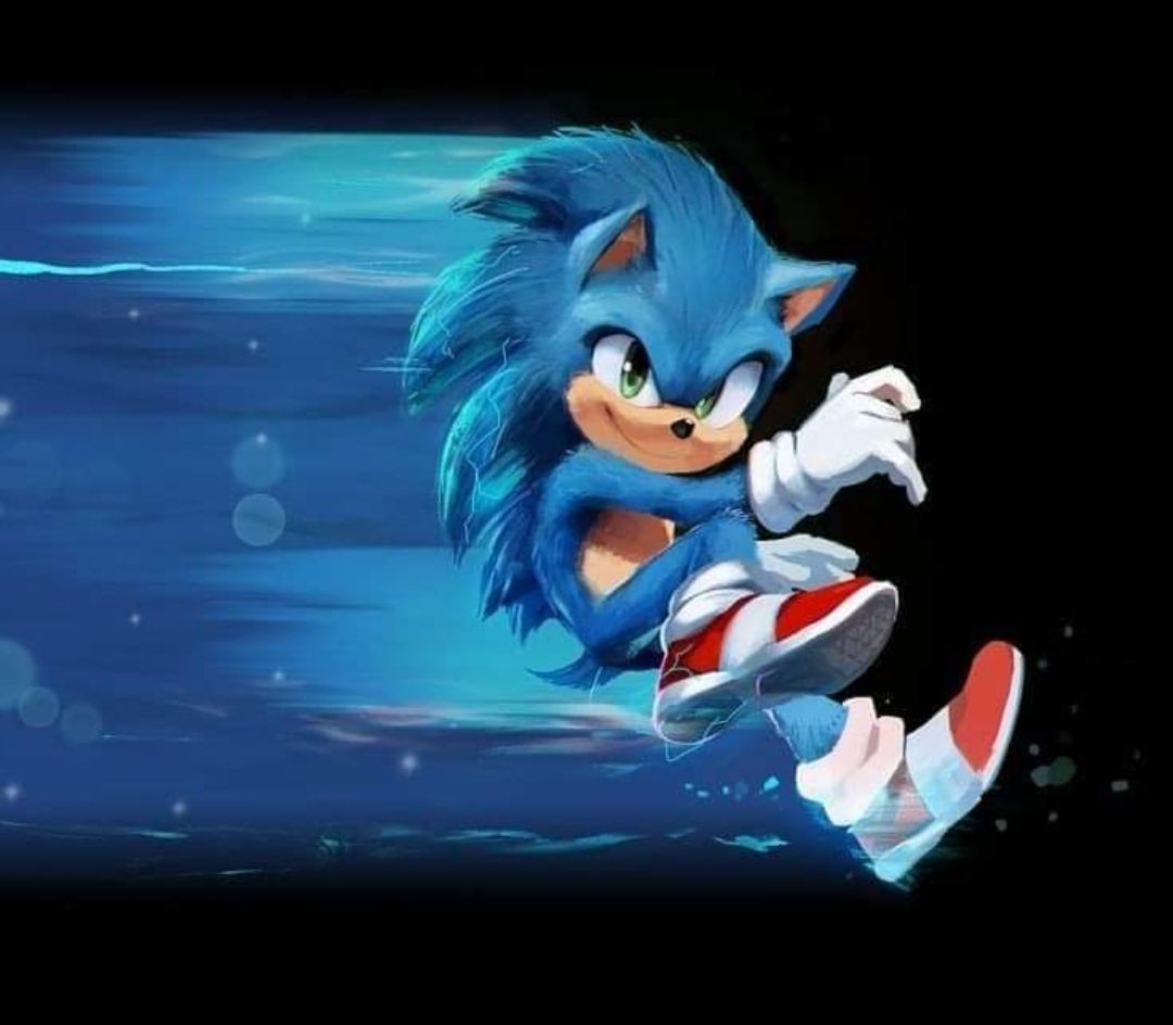 Sommersweat Sonic Panele Lieferung Oktober 
