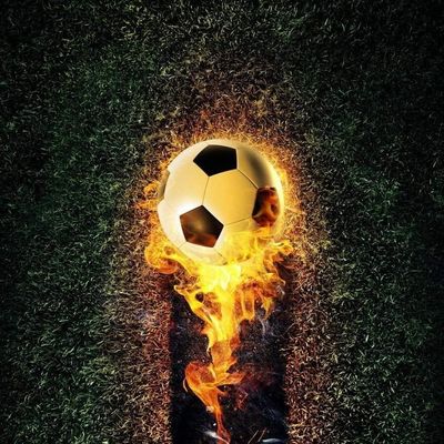 Sommersweat Panele Fußball