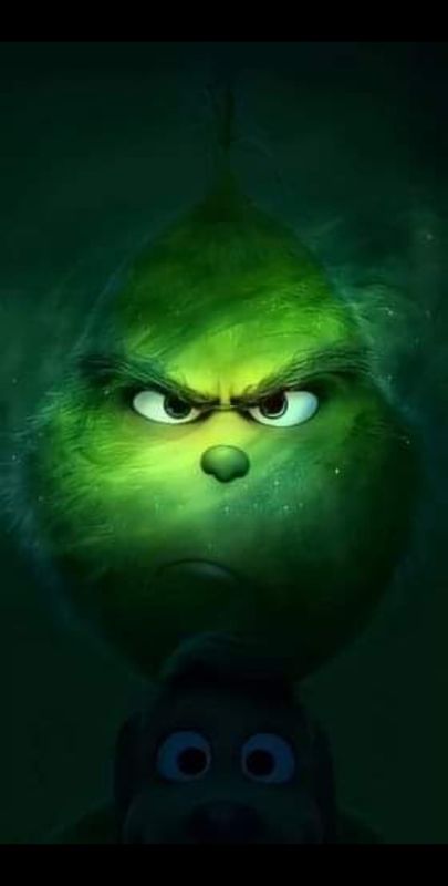 Sommersweat Panele Grinch Lieferung Oktober 