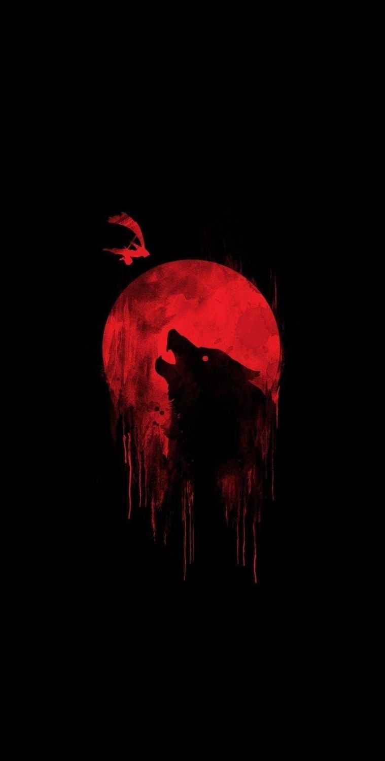 Sommersweat Wolf Panele Lieferung Oktober 