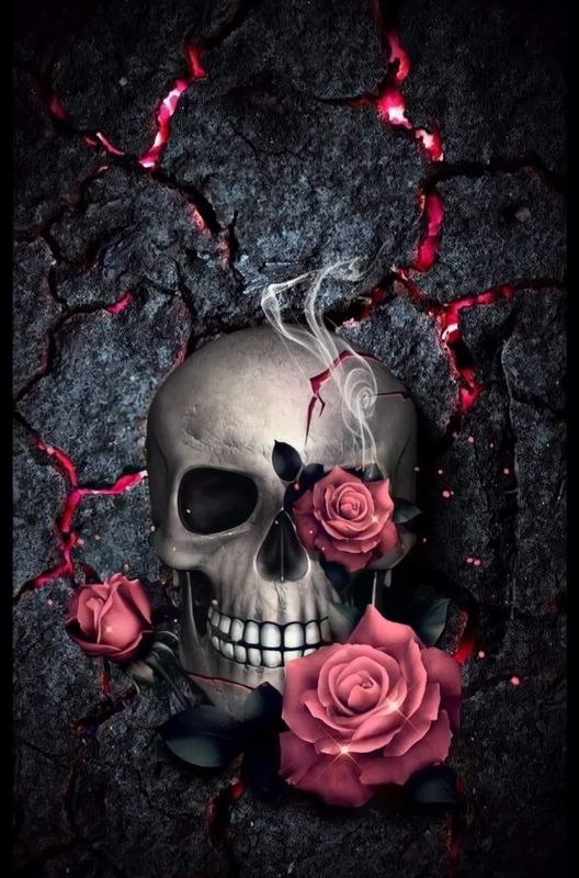 Sommersweat Skulls Panele Lieferung Oktober 