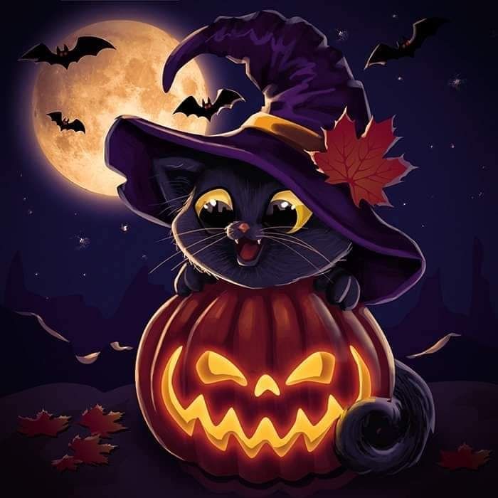Sommersweat Halloween Panele Lieferung Oktober 
