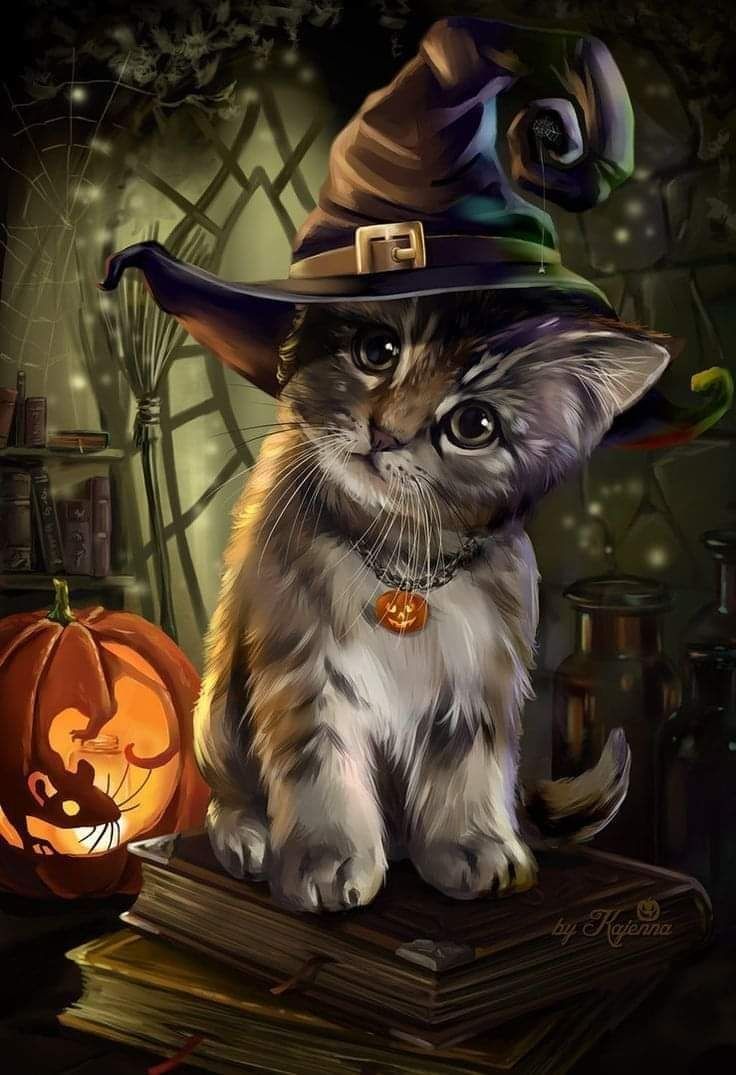 Sommersweat Halloween Panele Lieferung Oktober 