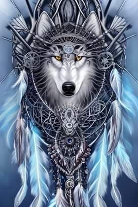 Sommersweat Wolf Panele Lieferung Oktober 