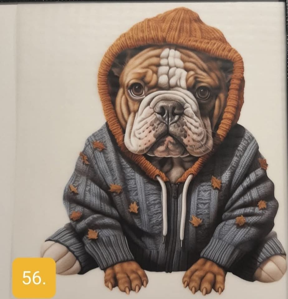 Bügelbild Vorbestellung Lieferung Oktober 