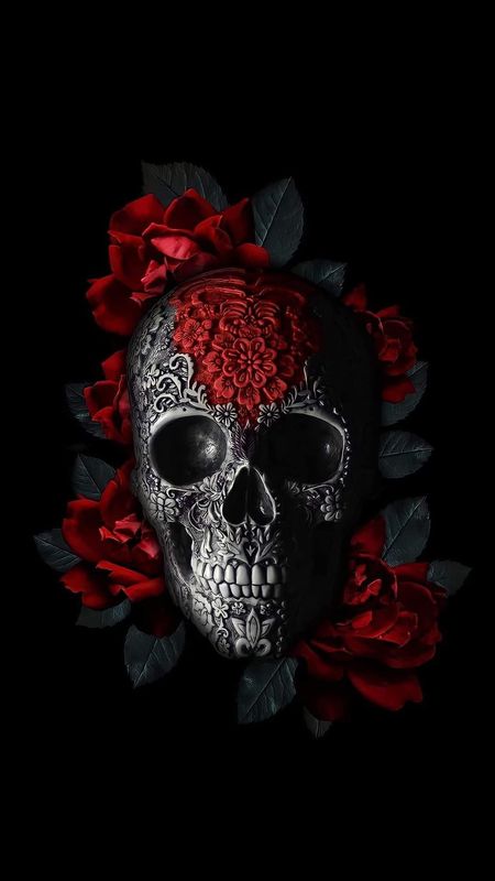 Sommersweat Skulls Panele Lieferung Oktober 