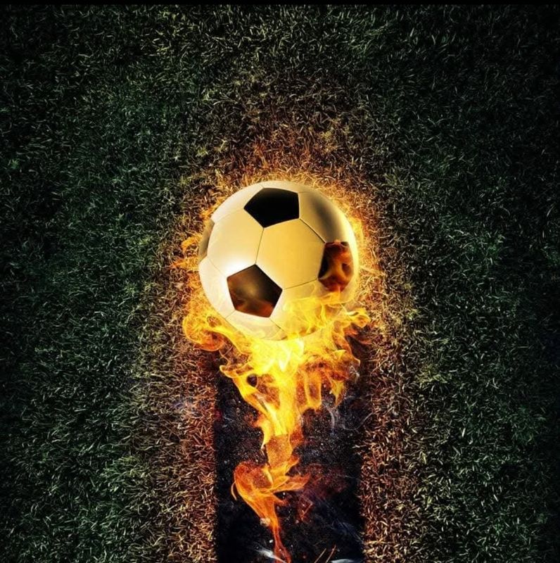 Sommersweat Fußball Panele Lieferung Oktober 