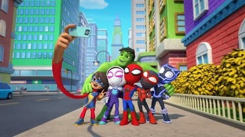 Sommersweat Spidey Panele Lieferung Oktober 