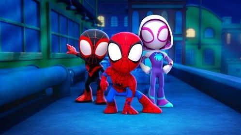 Sommersweat Spider Panele Lieferung Oktober 