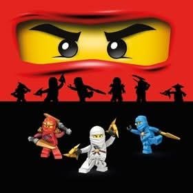 Sommersweat Ninjago Panele Lieferung Oktober 