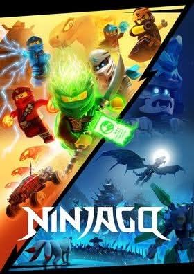 Sommersweat Ninjago Panele Lieferung Oktober 