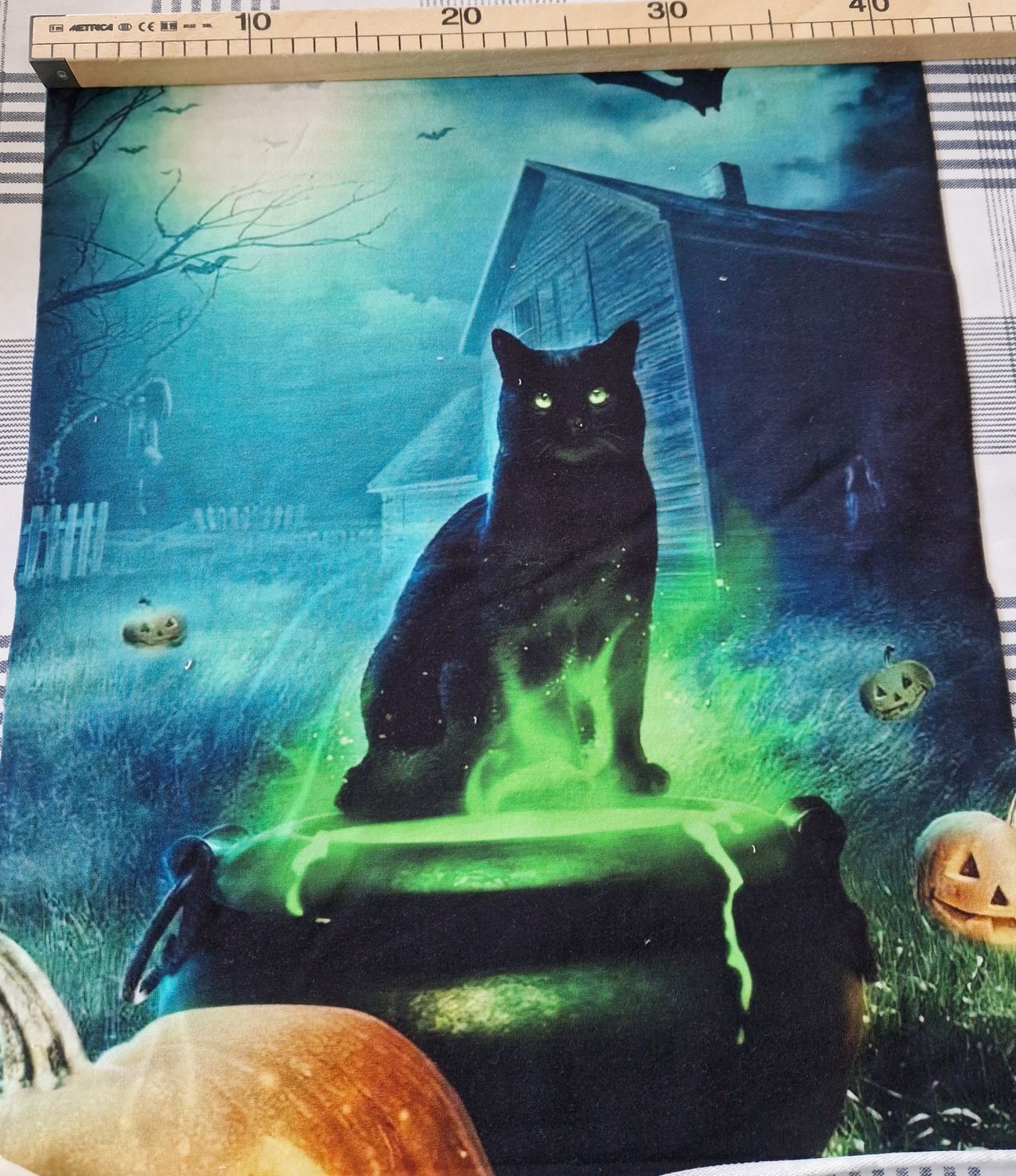 Sommersweat Katze Panele 43x55cm 