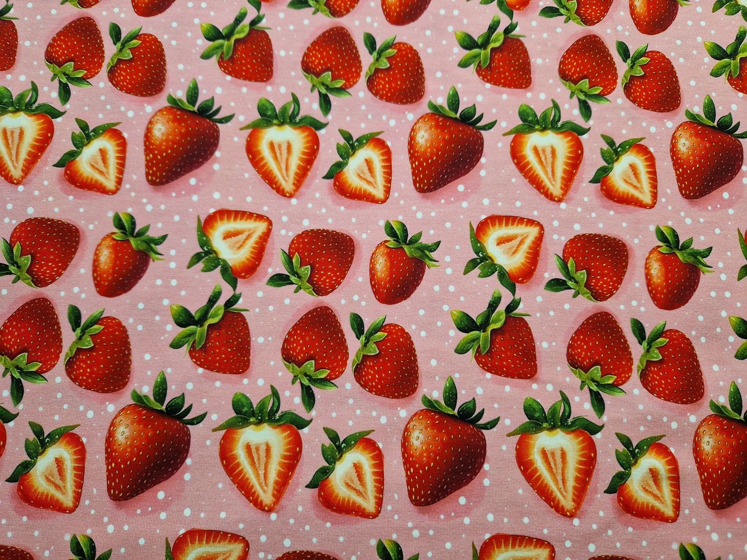Jersey Erdbeeren 50cm x 180cm breit