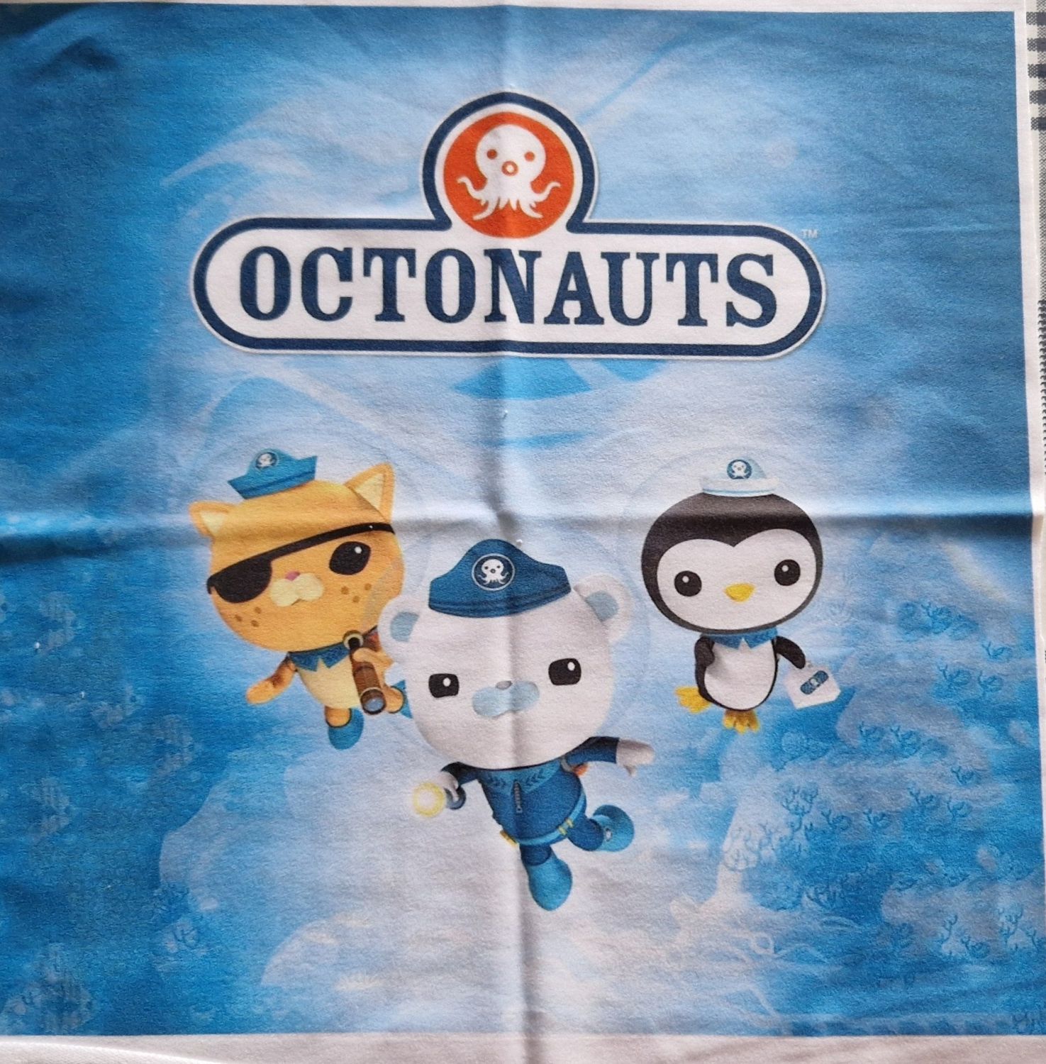 Sommersweat Octonauts Panele 40x40cm 