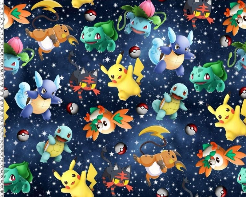 Sommersweat Pokemon 50cm x 180cm breit 