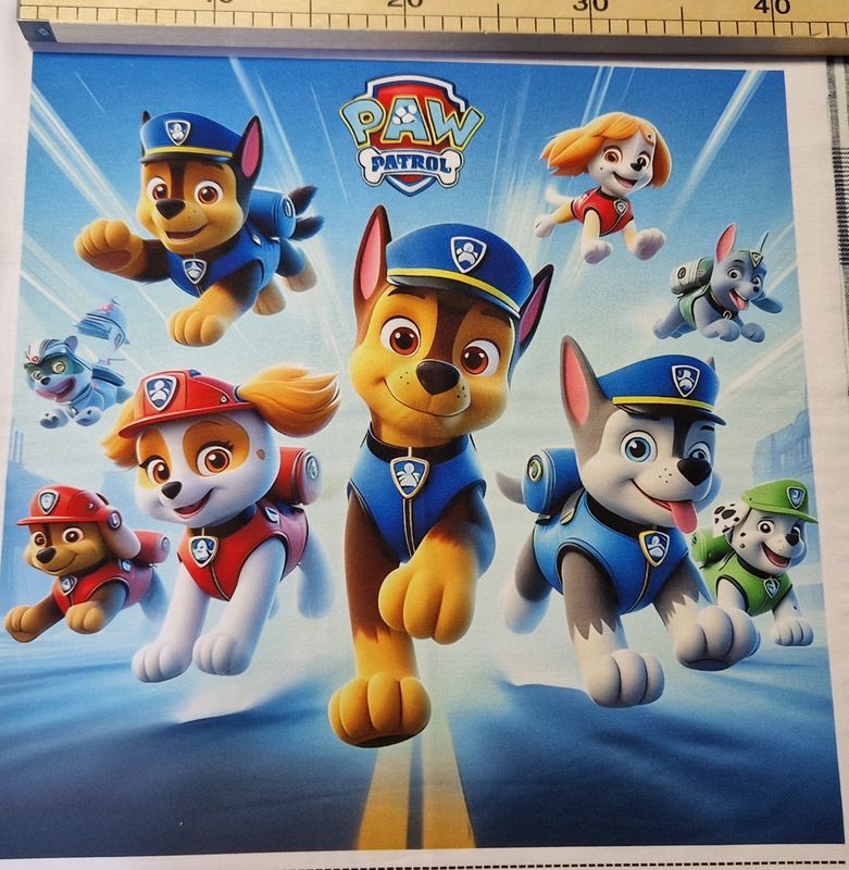Sommersweat Paw Patrol Panele 42x42cm breit Sommersweat Paw Patrol Panele 42x42cm breit