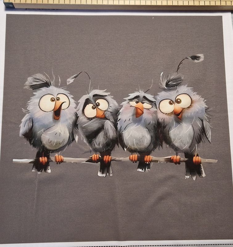 Sommersweat Vögel Panele 42x42cm breit Sommersweat Vögel Panele 42x42cm breit