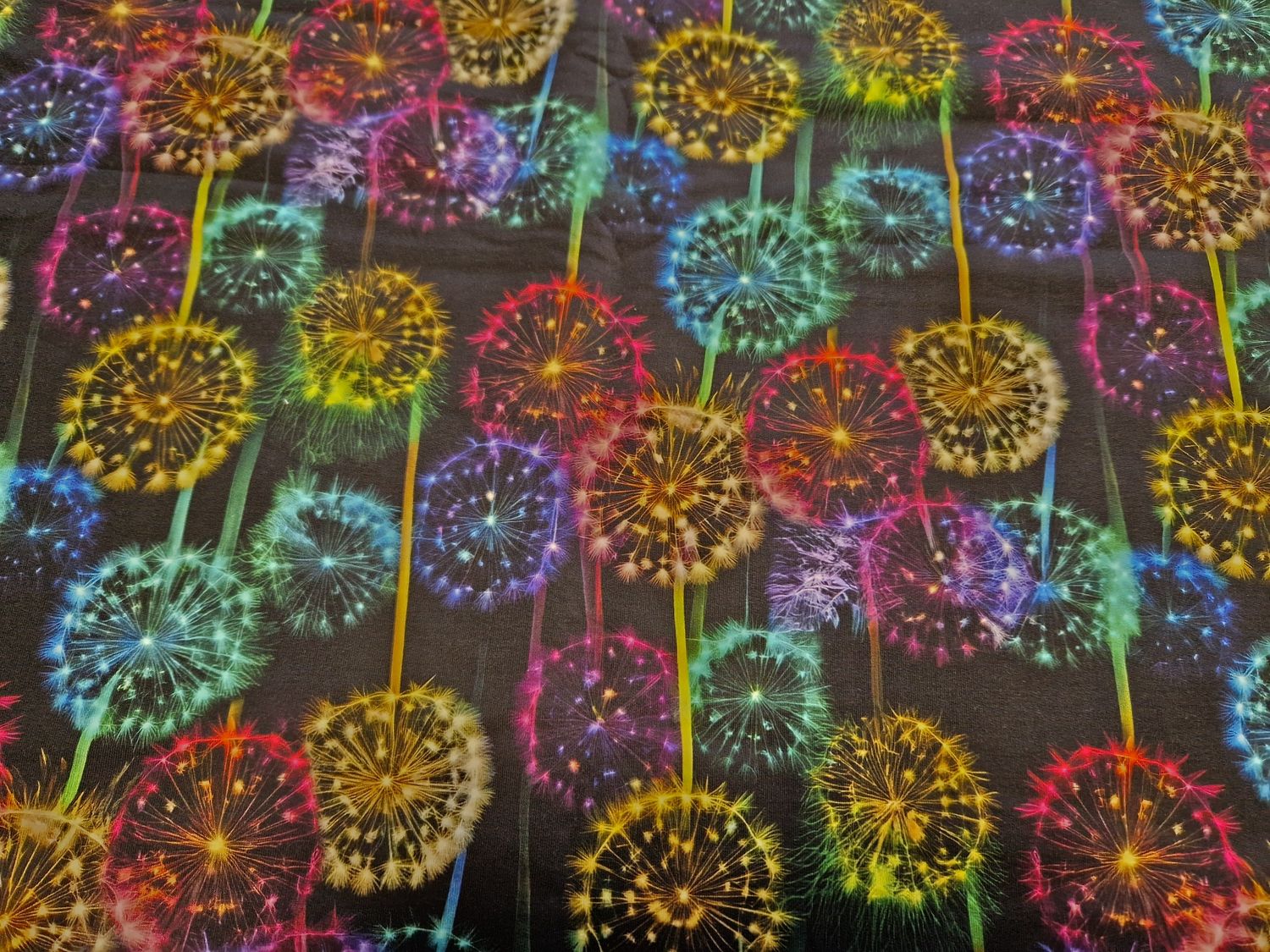 Sommersweat Pusteblumen 50cm x 180cm breit 