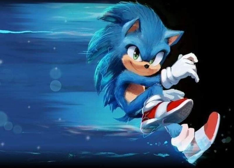 Sommersweat Sonic Panele 50x60cm Lieferung Ende Juni Sommersweat Sonic Panele 50x60cm Lieferung Ende Juni
