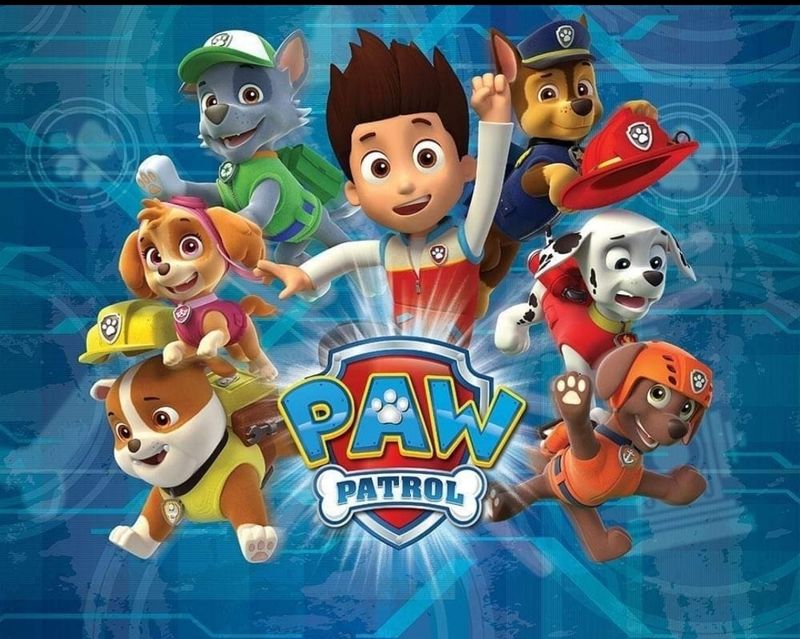 Jersey Paw Patrol Panele 40x40cm Lieferung Ende Juni Jersey Paw Patrol Panele 40x40cm Lieferung Ende Juni