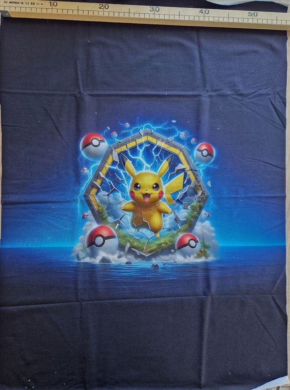 Sommersweat Pokemon Pikatschu Panele 60x80cm Sommersweat Pokemon Pikatschu Panele 60x80cm