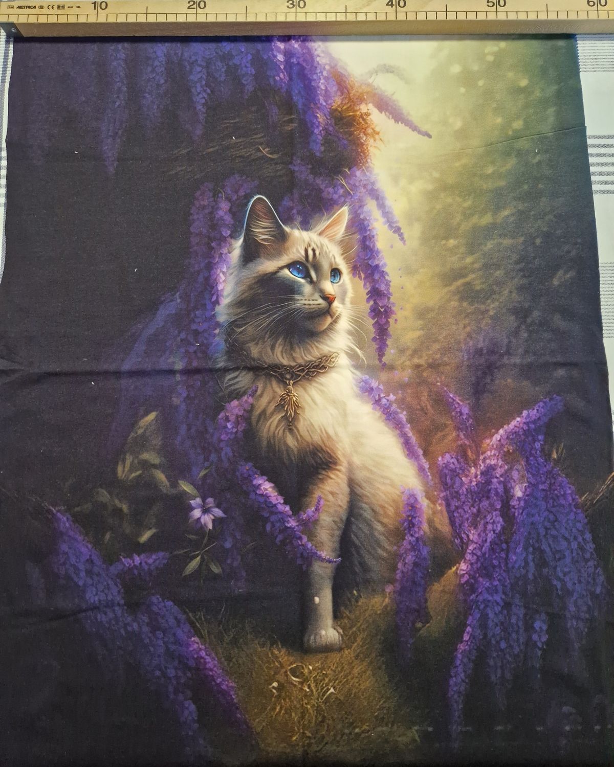 Sommersweat Katze Lila Panele 60x80cm 