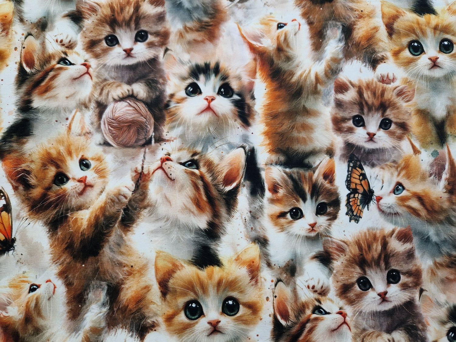 Sommersweat Katze 50cm x 180cm breit 