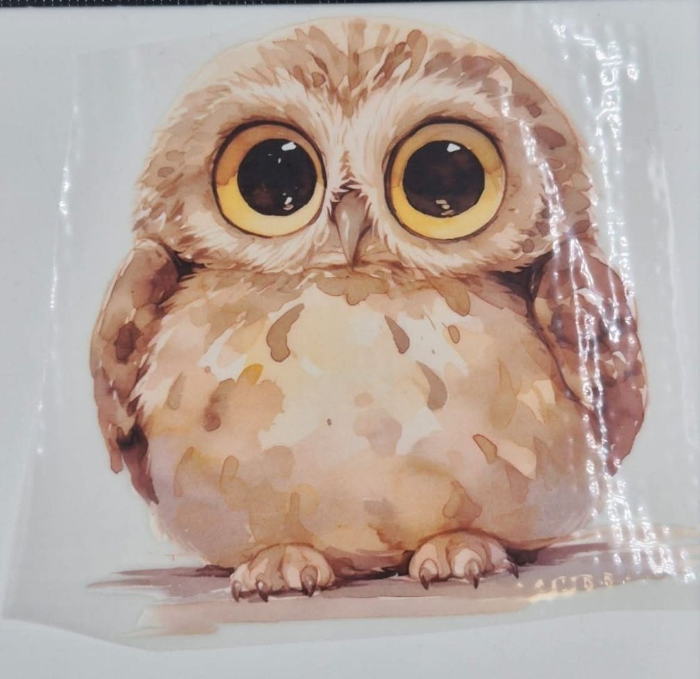 Bügelbild Vorbestellung Lieferung Oktober 