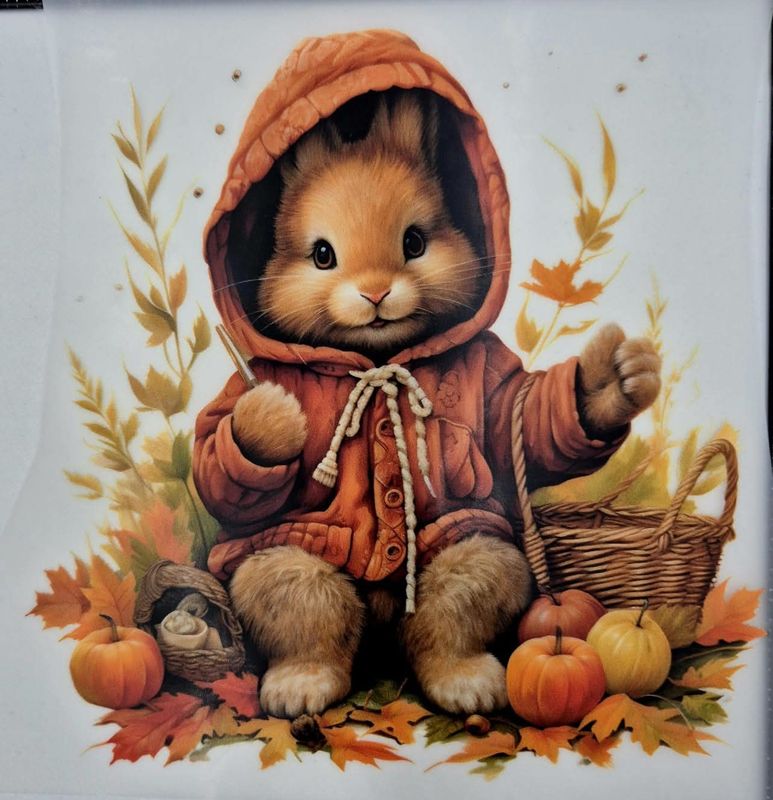 Bügelbild Vorbestellung Lieferung Oktober 