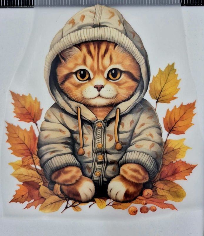 Bügelbild Vorbestellung Lieferung Oktober 
