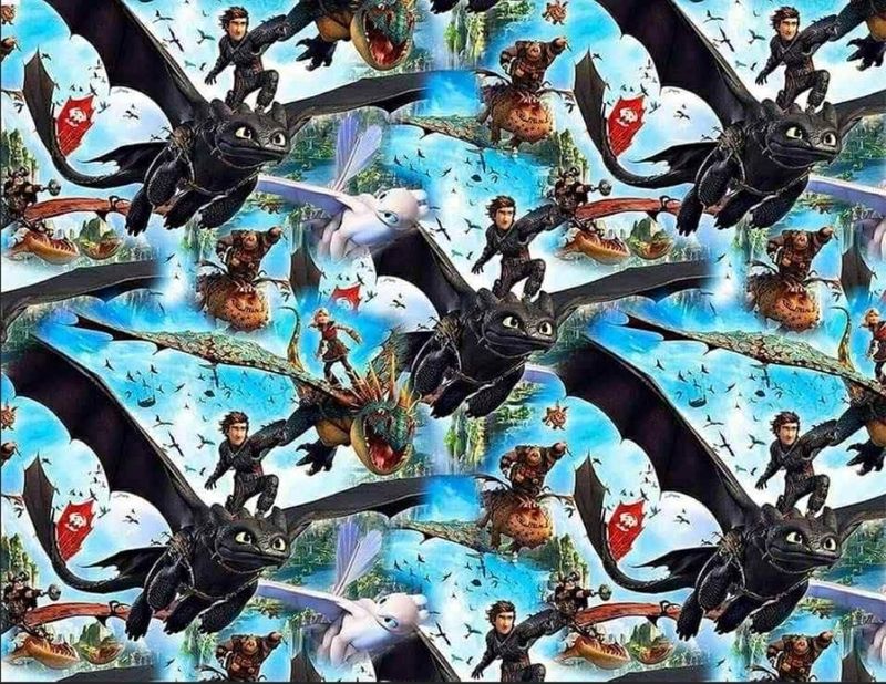 Sommersweat Drachen 50cm x 180cm breit Sommersweat Drachen 50cm x 180cm breit