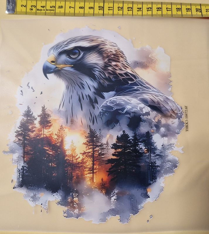 Bügelbild Adler 18cm 