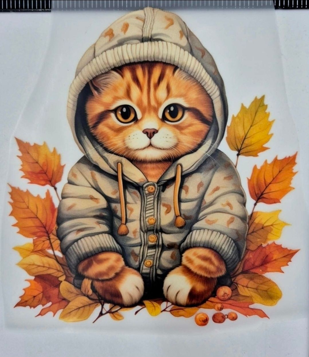 Bügelbild Katze 10x10cm Bügelbild Katze 10x10cm