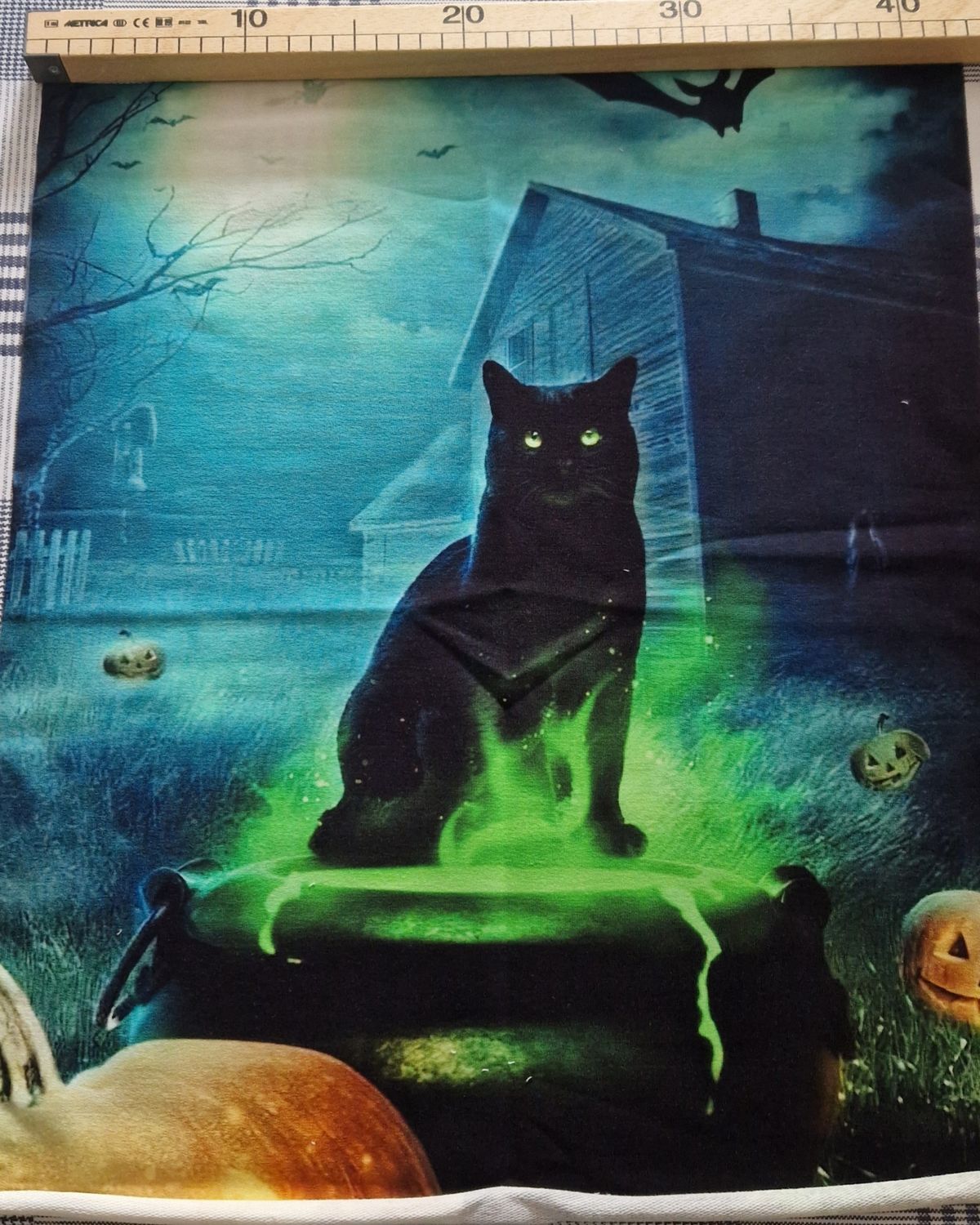 Sommersweat Katze Panele 43x55cm 