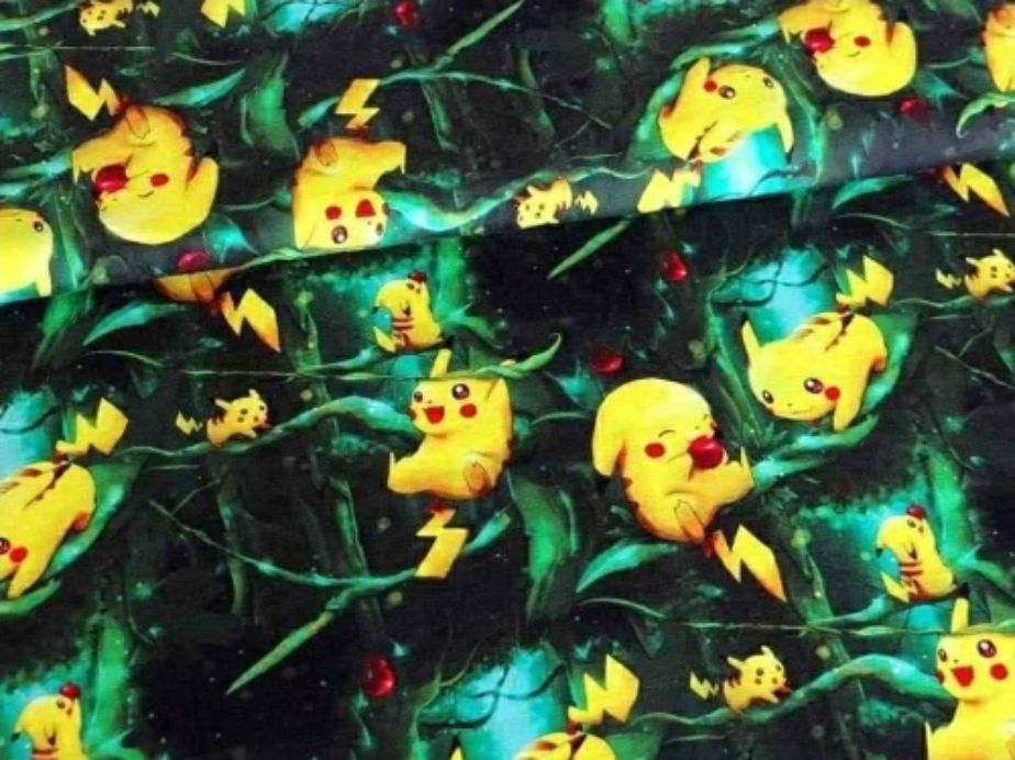 Sommersweat Pokemon 50cm x 180cm breit Lieferung Anfang April 