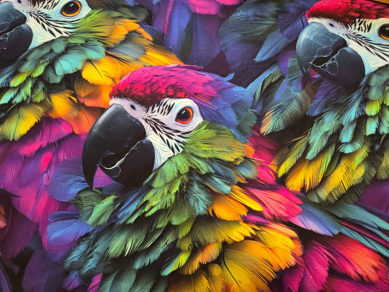 Jersey Papagei bunt 50cm x 180cm breit 