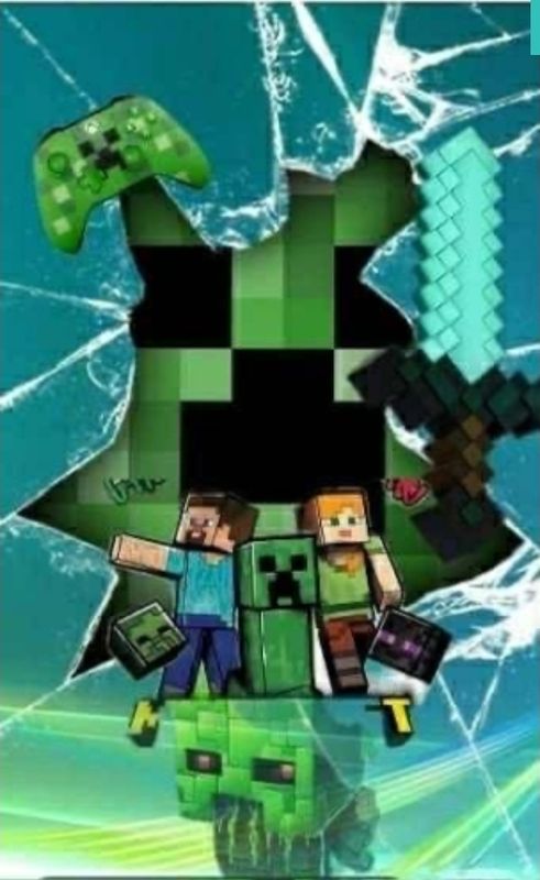 Sommersweat Minecraft Panele 43x55cm Lieferung Anfang April 