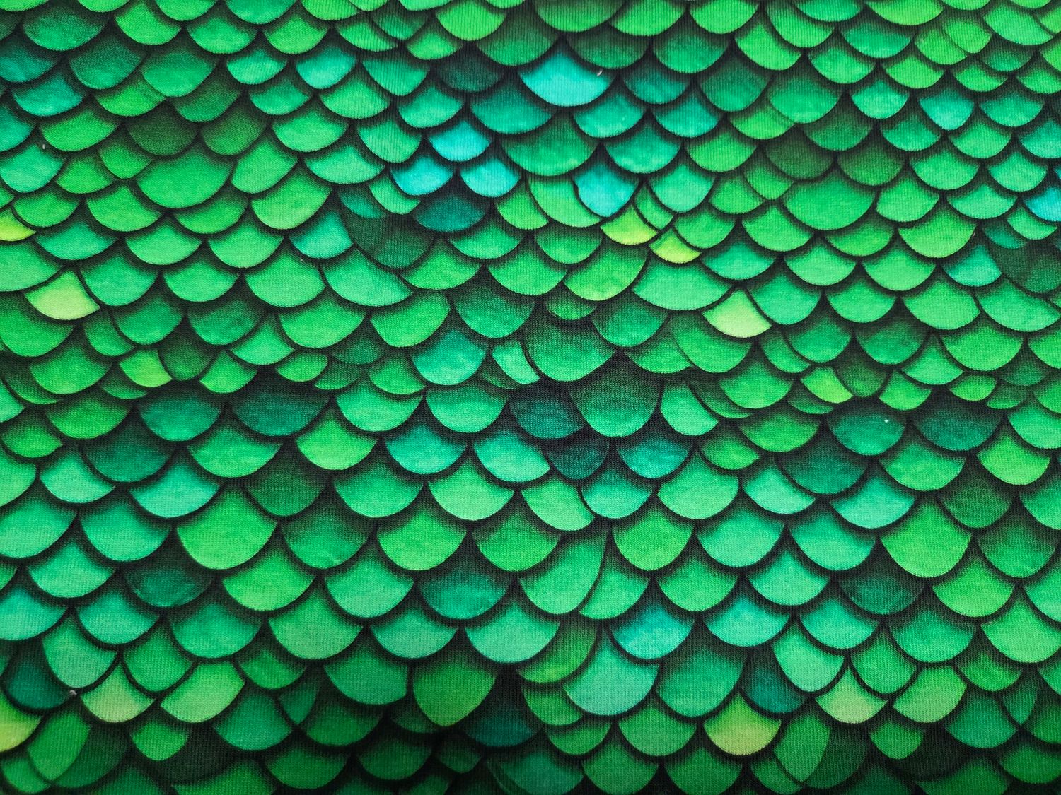 Sommersweat Schuppen grün 42cm x 180cm breit