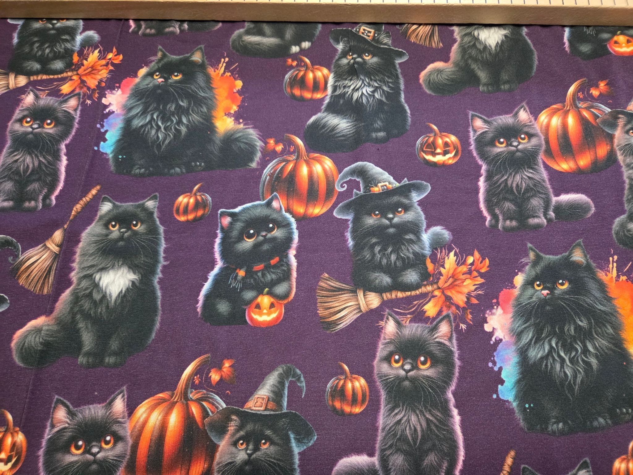 Jersey Katzen Halloween 85cm x160cm breit