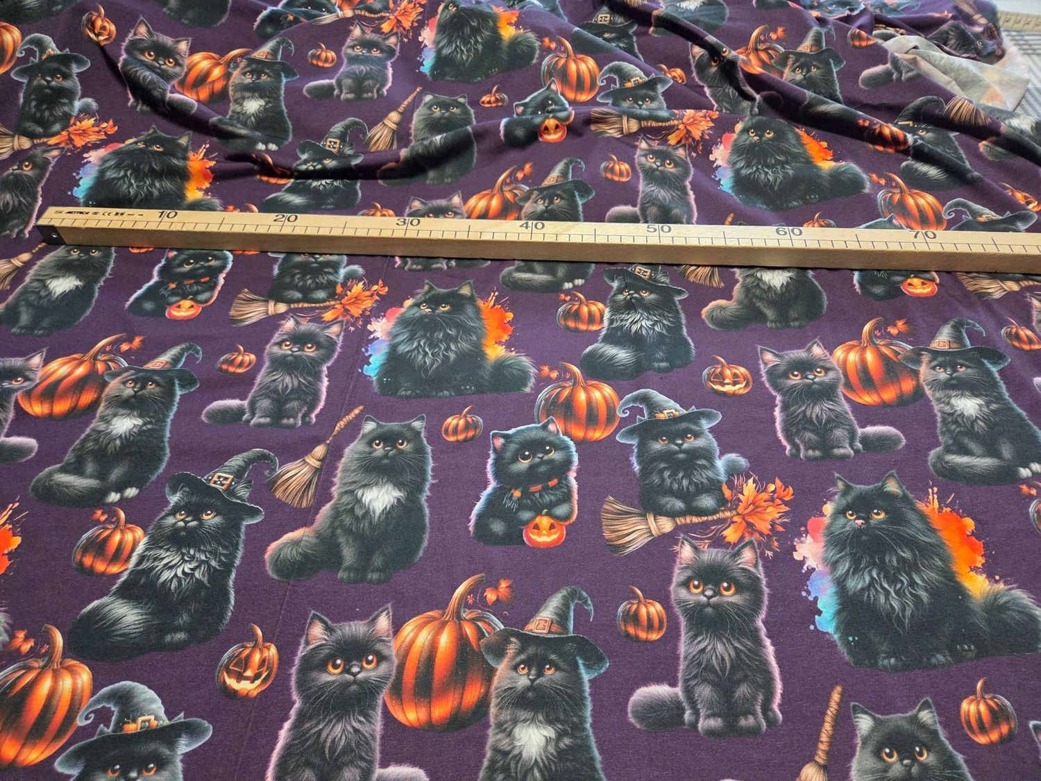 Jersey Katzen Halloween 85cm x160cm breit