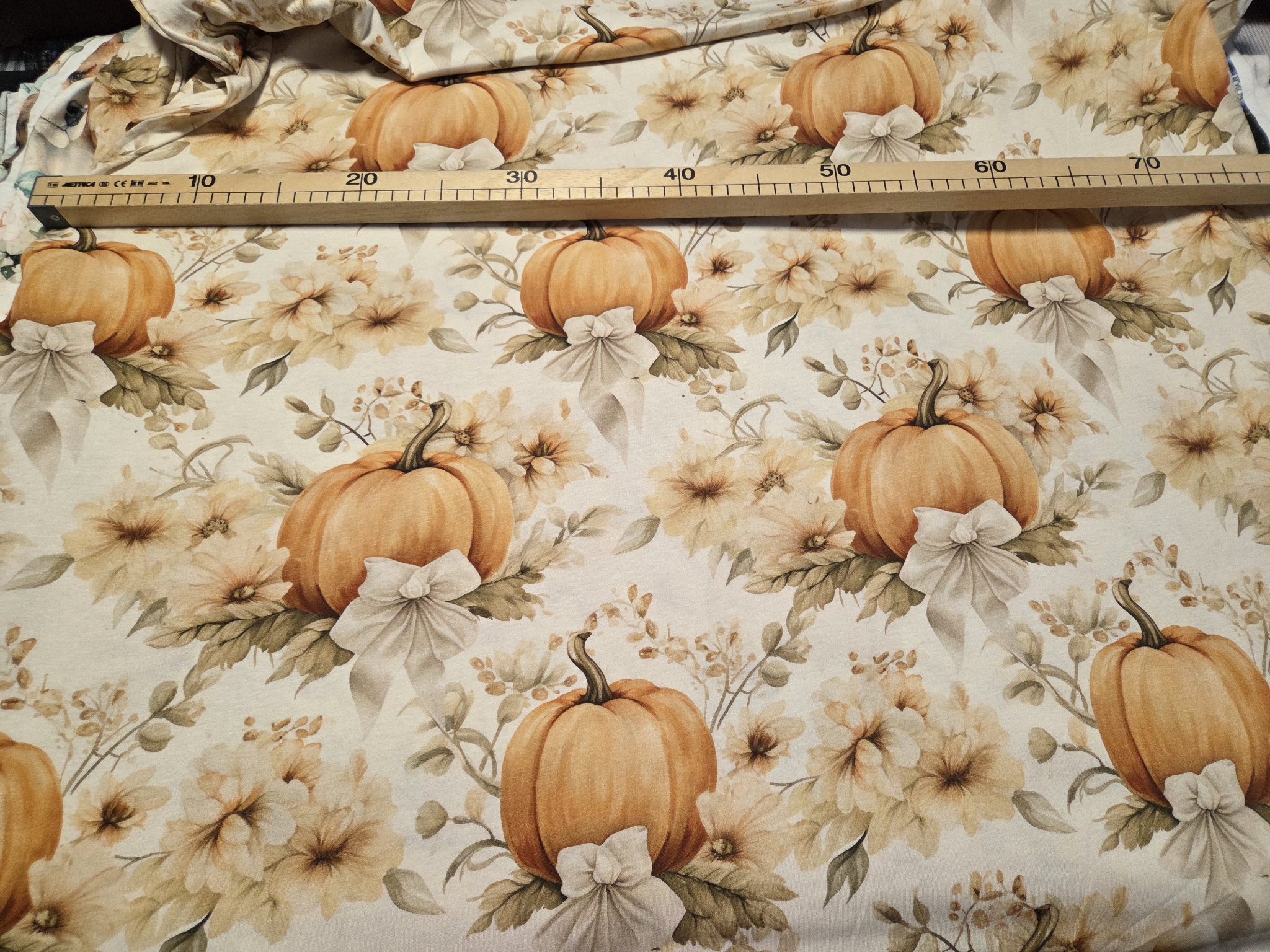 Jersey Kürbis 80cm x160cm breit