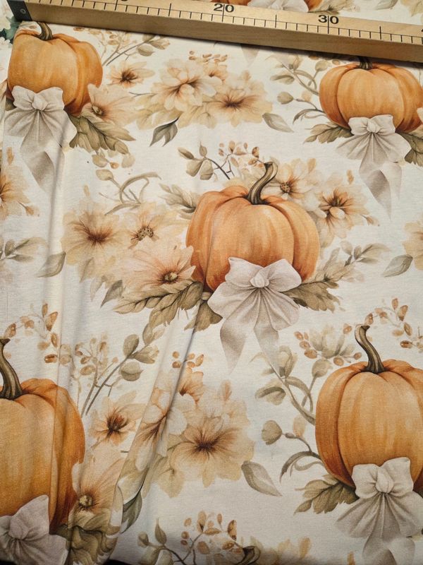 Jersey Kürbis 80cm x160cm breit Jersey Kürbis 80cm x160cm breit