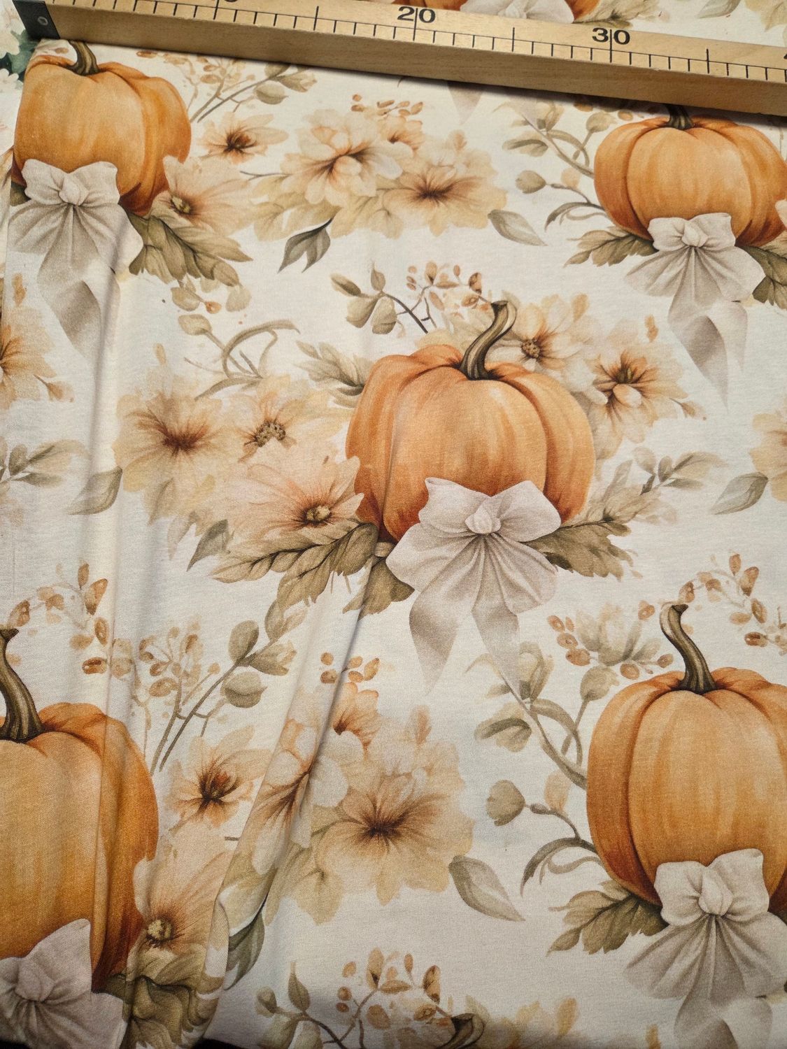 Jersey Kürbis 50cm x160cm breit