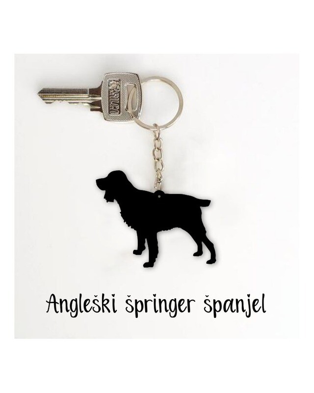 Obesek Angleški špringer španjel