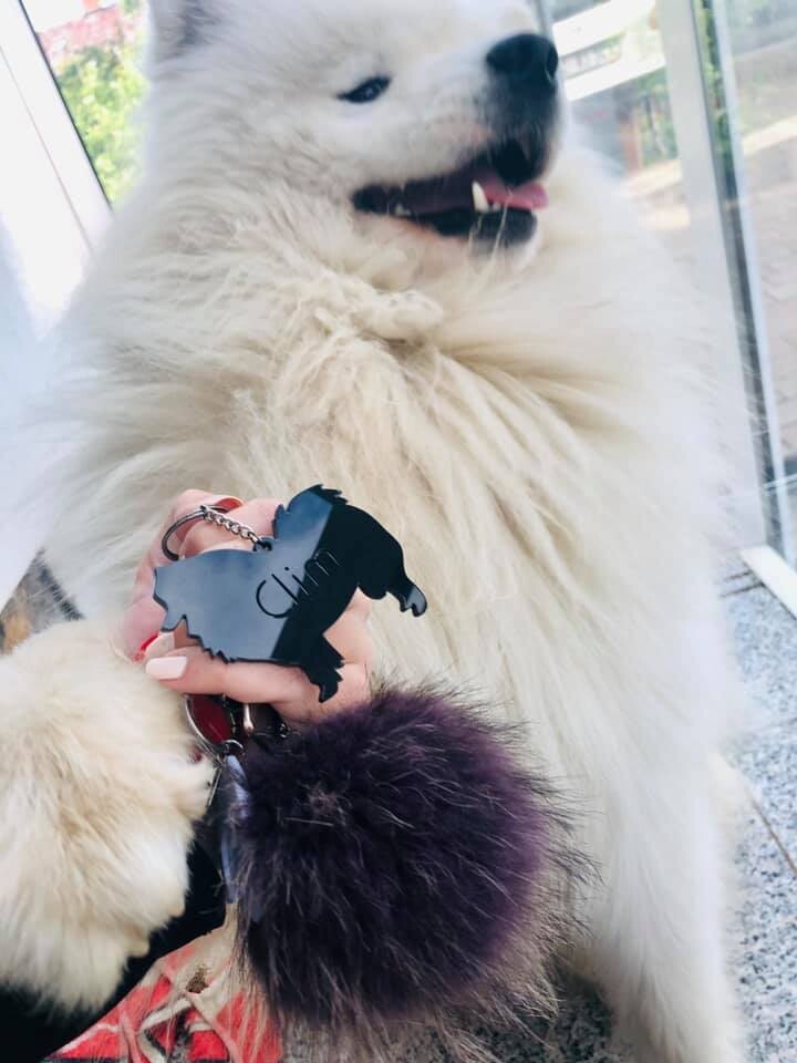 Obesek Akita