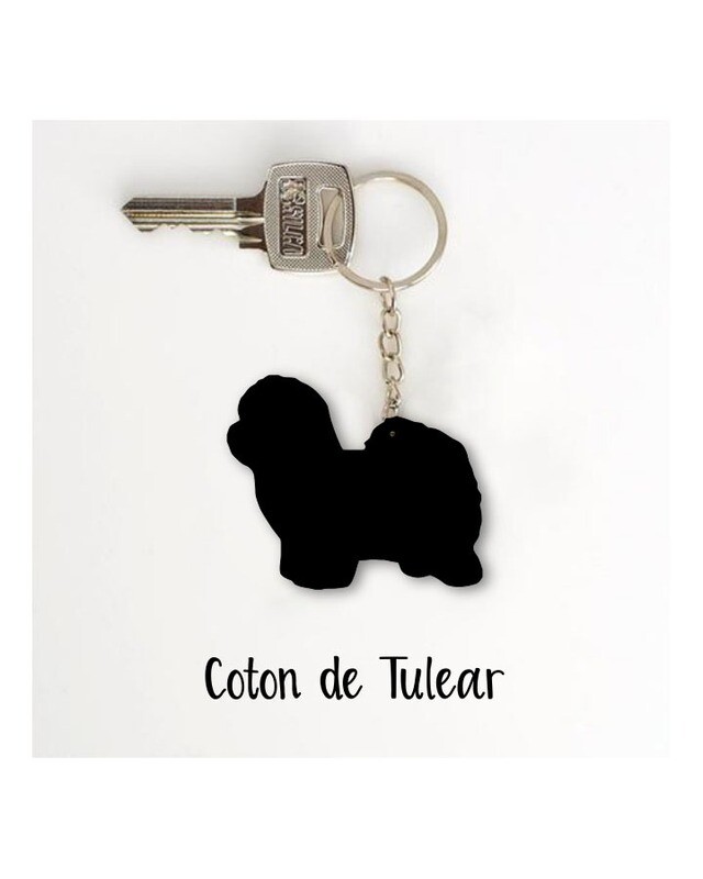 Obesek Coton de Tulear