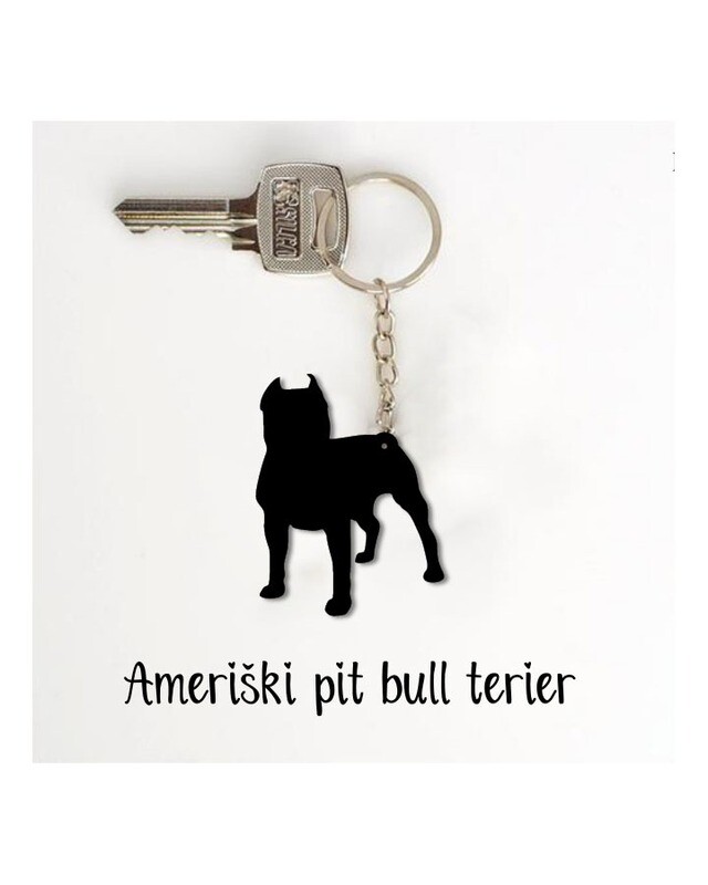 Obesek Ameriški pit-bull terier