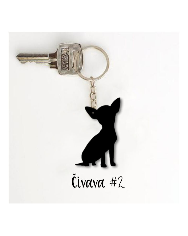Obesek Čivava #2